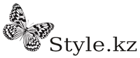Style.KZ logo