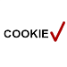 WBS24: Политика использования cookie (согласно ФЗ-152)