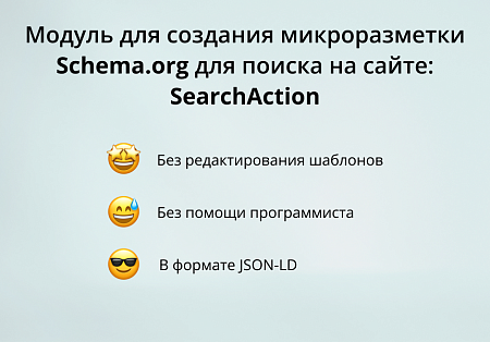 INRAISE: Schema.org/SearchAction. Микроразметка для поиска по сайту без помощи программиста